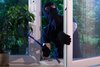 Einbruchschutz: So schieben Sie Langfingern einen Riegel vor